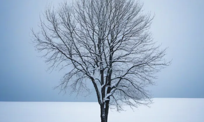 Kostel svatého Jiří (Chlum) – winter