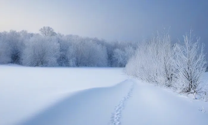 kostel svatého Jiří (Dolní Branná) – winter