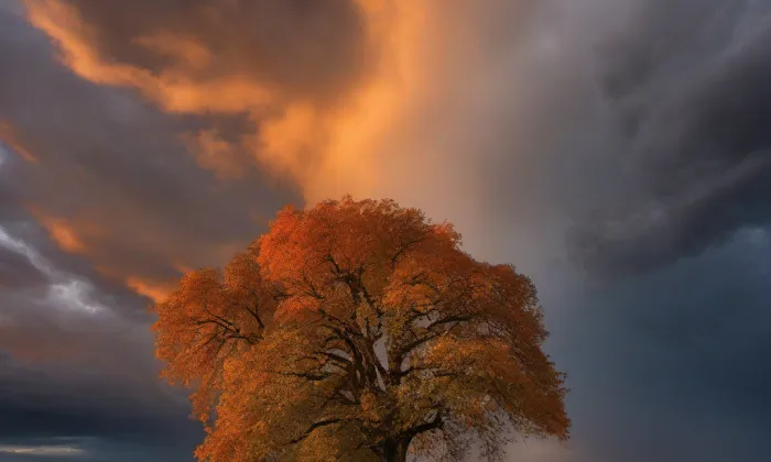 Kostel svatého Jiří (Klentnice) – autumn