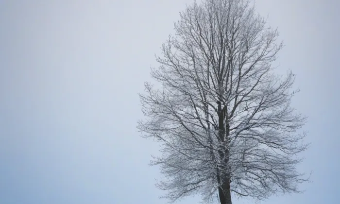 Kostel svatého Jiří (Krnsko) – winter