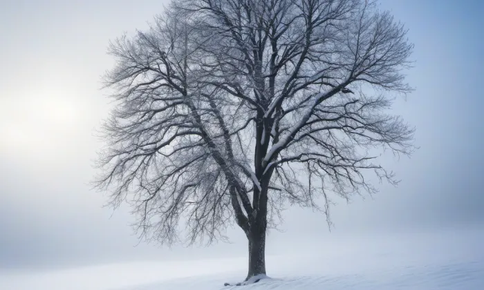 Kostel svatého Jiří (Moravičany) – winter