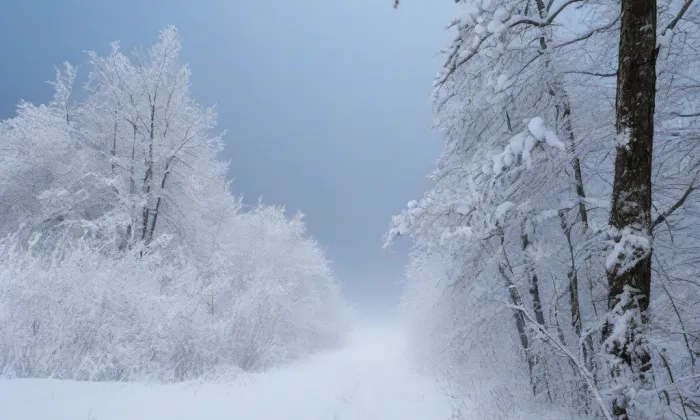 Kostel svatého Jiří v Bečově nad Teplou – winter