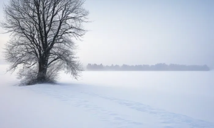 kostel svatého Jiří v Dobranově – winter