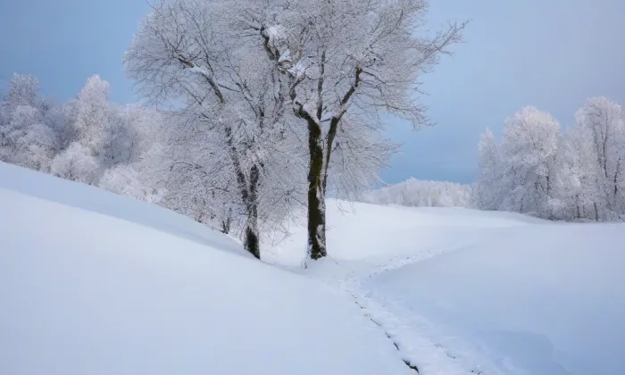 Kostel svatého Jiljí (Chropyně) – winter