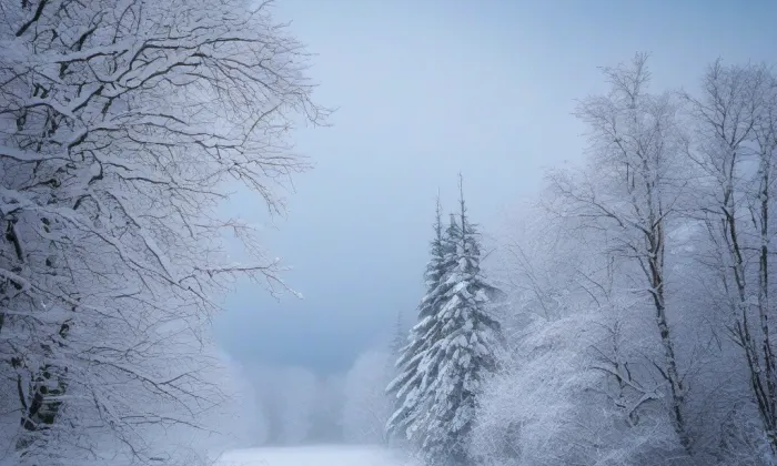 Kostel svatého Jiljí (Dolánky nad Ohří) – winter