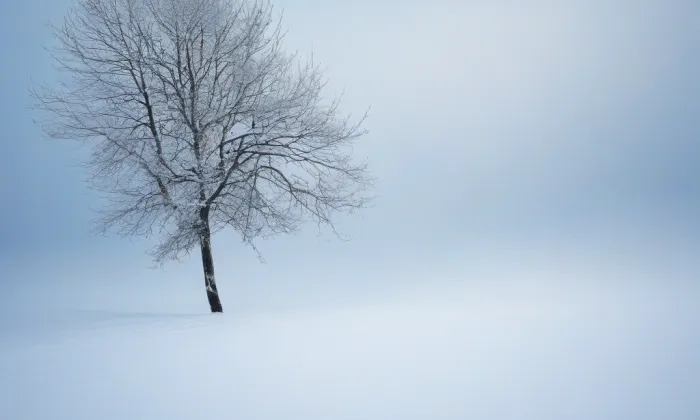 kostel svatého Jiljí (Heřmaň) – winter