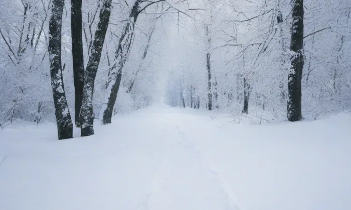 Kostel svatého Jiljí (Jirkov) – winter