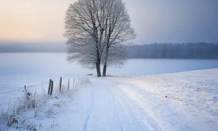 kostel svatého Jiljí (Našiměřice) – winter