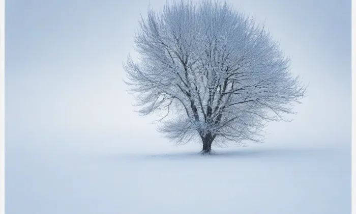 Kostel svatého Jiljí (Třebnice) – winter