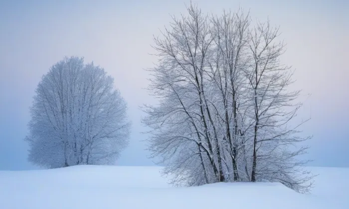 kostel svatého Jiljí v Křinci – winter