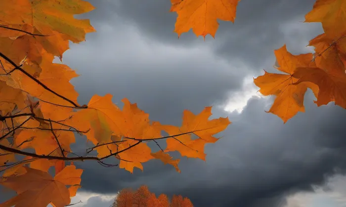 Kostel svatého Josefa (Hrubá Skála) – autumn