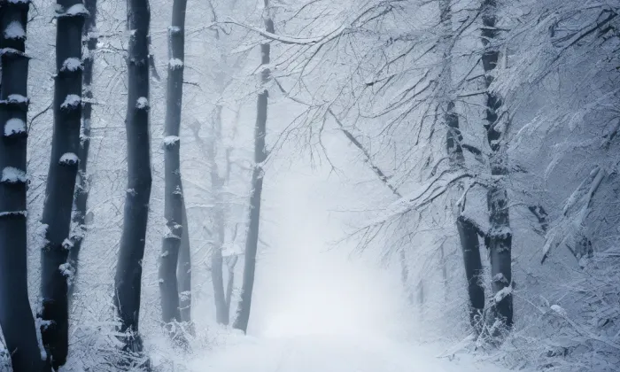 Kostel svatého Josefa (Hrubá Skála) – winter