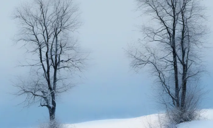 Kostel svatého Josefa (Krasice) – winter
