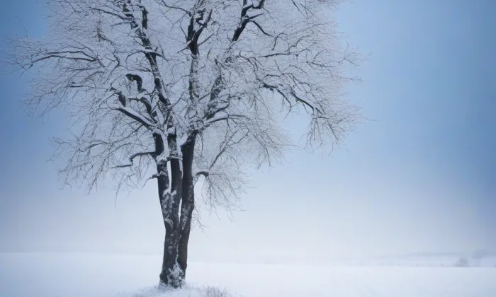 Kostel svatého Josefa (Moravská Ostrava) – winter