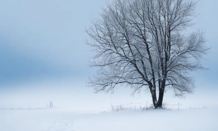 Kostel svatého Josefa (Palonín) – winter