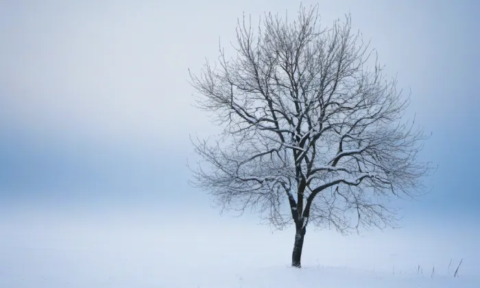 Kostel svatého Josefa (Praha) – winter
