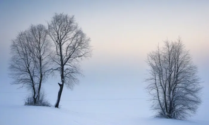 Kostel svatého Josefa (Senetářov) – winter