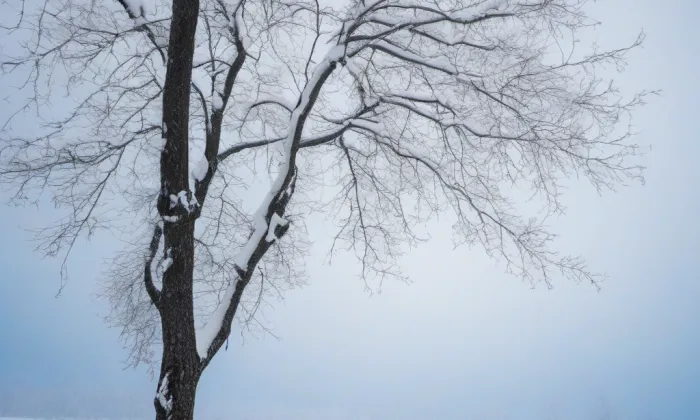 kostel svatého Klimenta (Dobřenice) – winter