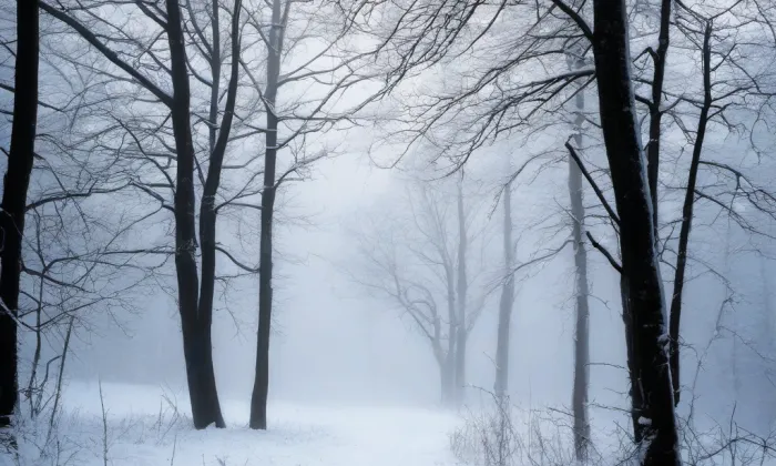 Kostel svatého Klimenta (Lipůvka) – winter