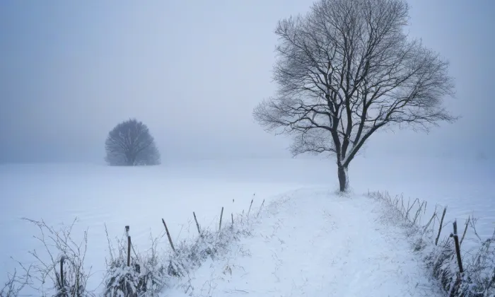 Kostel svatého Linharta (Citov) – winter