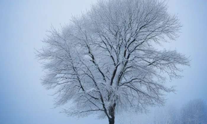 Kostel svatého Linharta (Lidéřovice) – winter