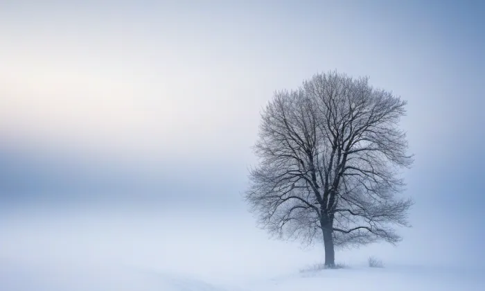 kostel svatého Martina (Žimutice) – winter