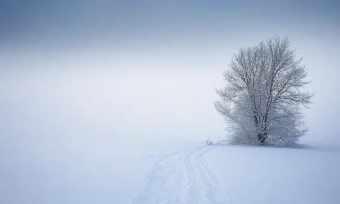 kostel svatého Martina (Bernartice) – winter