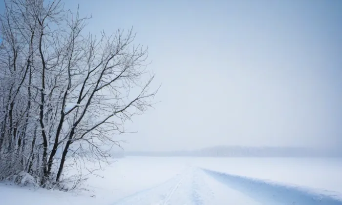 Kostel svatého Martina (Bohušov) – winter