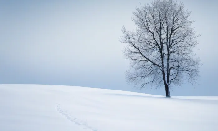 kostel svatého Martina (Dolní Benešov) – winter