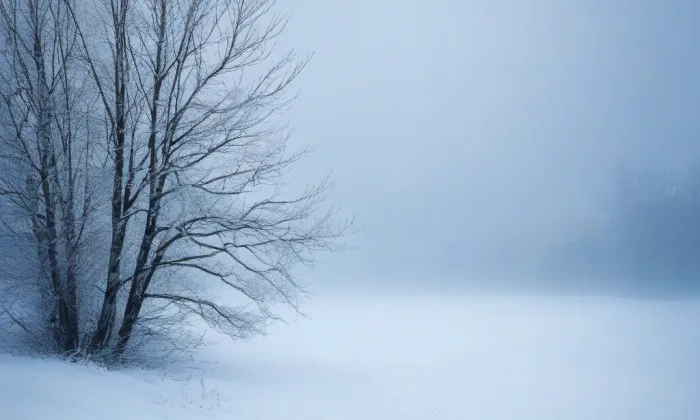 kostel svatého Martina (Dolní Loučky) – winter