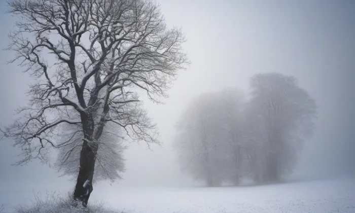 kostel svatého Martina (Frenštát pod Radhoštěm) – winter