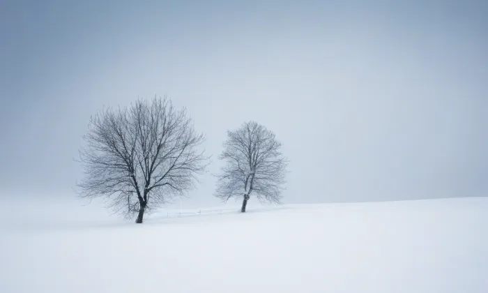 kostel svatého Martina (Kralice nad Oslavou) – winter