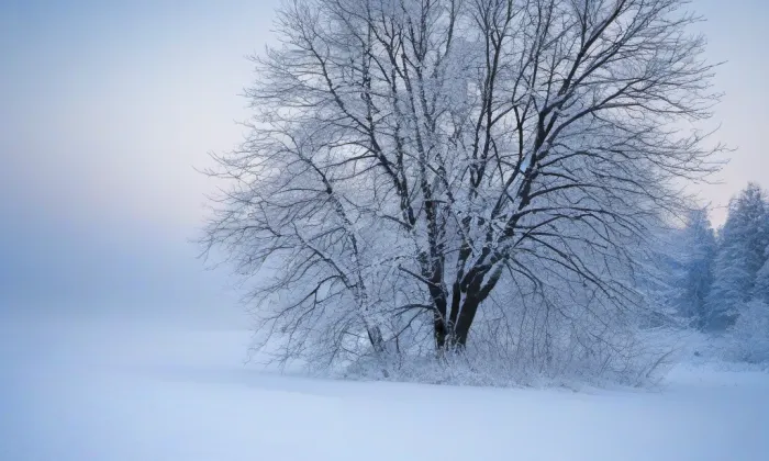 Kostel svatého Martina (Markvartice) – winter