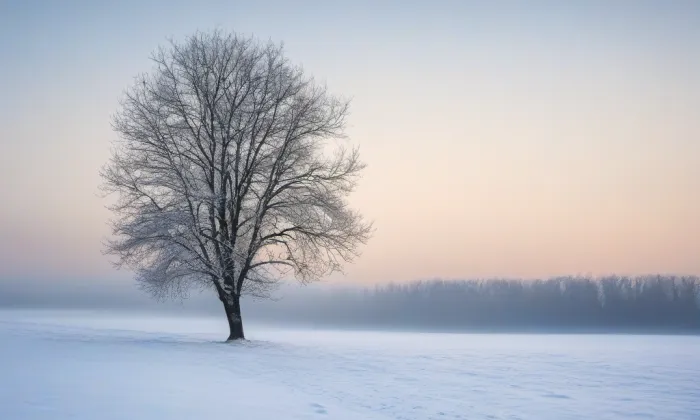Kostel svatého Martina (Sedlčany) – winter