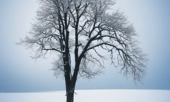 Kostel svatého Martina (Tlumačov) – winter