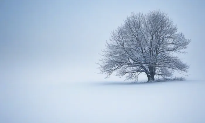 kostel svatého Martina (Věžná) – winter