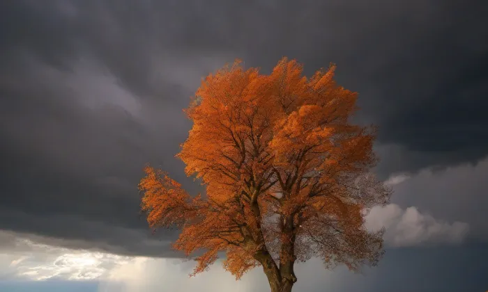 Kostel svatého Martina a Prokopa (Karlík) – autumn
