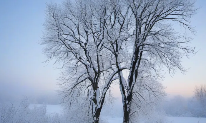 Kostel svatého Martina a Prokopa (Karlík) – winter