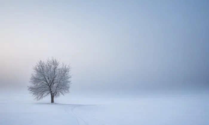 Kostel svatého Martina a Prokopa (Lobzy) – winter