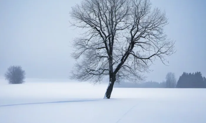 Kostel svatého Martina v Tožici – winter