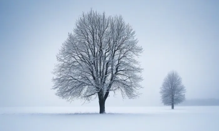 Kostel svatého Martina ve Chválenicích – winter