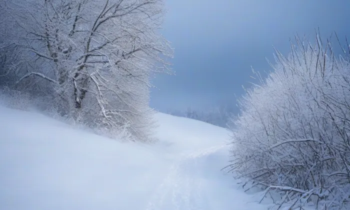 Kostel svatého Martina ve Vidimi – winter