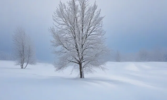 kostel svatého Martina ve zdi – winter