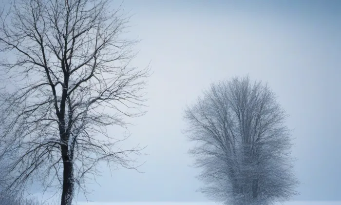 kostel svatého Matouše (Heršpice) – winter