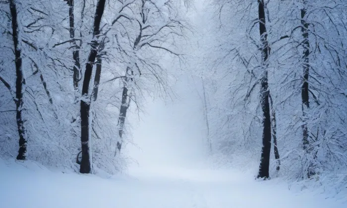kostel svatého Matouše (Lipoltice) – winter