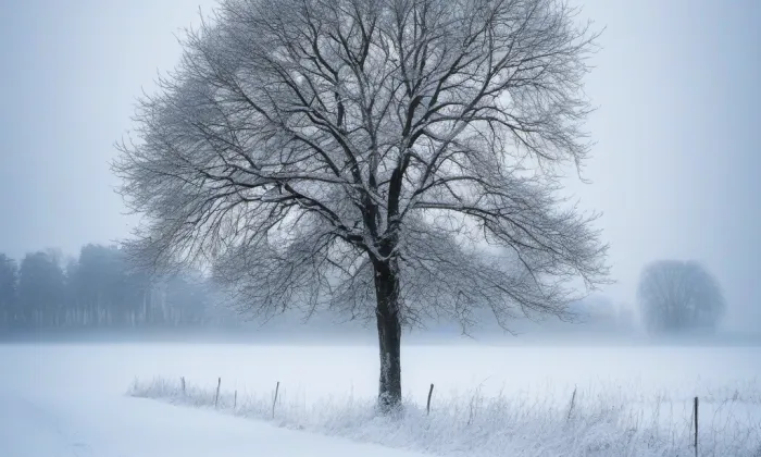 Kostel svatého Matouše v Pnětlukách – winter