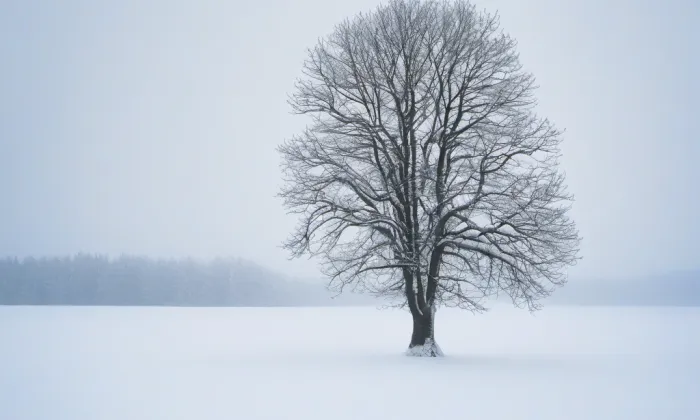 Kostel svatého Michaela (Bohdanovice) – winter
