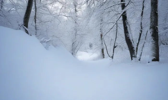 Kostel svatého Michaela archanděla (Řepiště) – winter