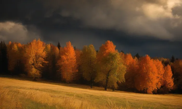 Kostel svatého Michaela archanděla (Kujavy) – autumn