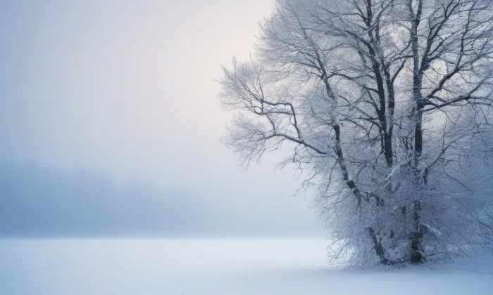 kostel svatého Michala (Želetava) – winter